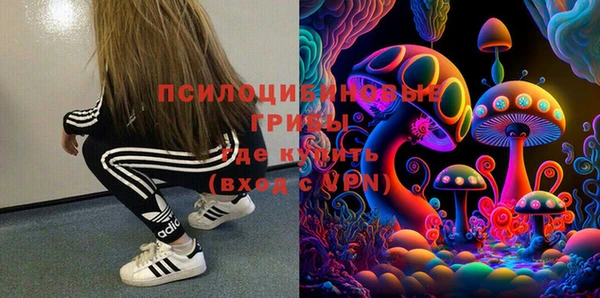 СК Кинешма