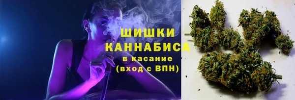 молекула духа Киренск