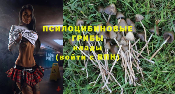 молекула духа Киренск