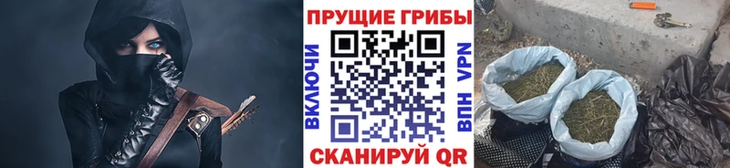 Галлюциногенные грибы GOLDEN TEACHER Купить Беслан